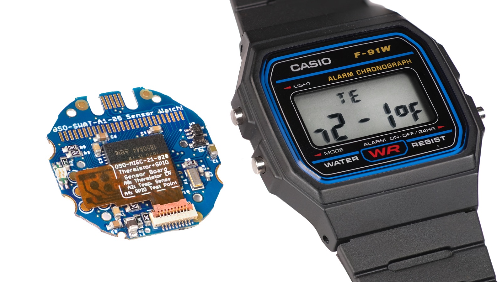 Photo: the Sensor Watch circuit board next to a Casio F-91W